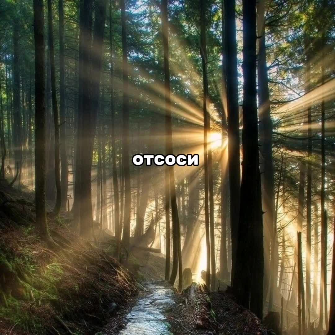 @дочь дестиэлей [R+E]