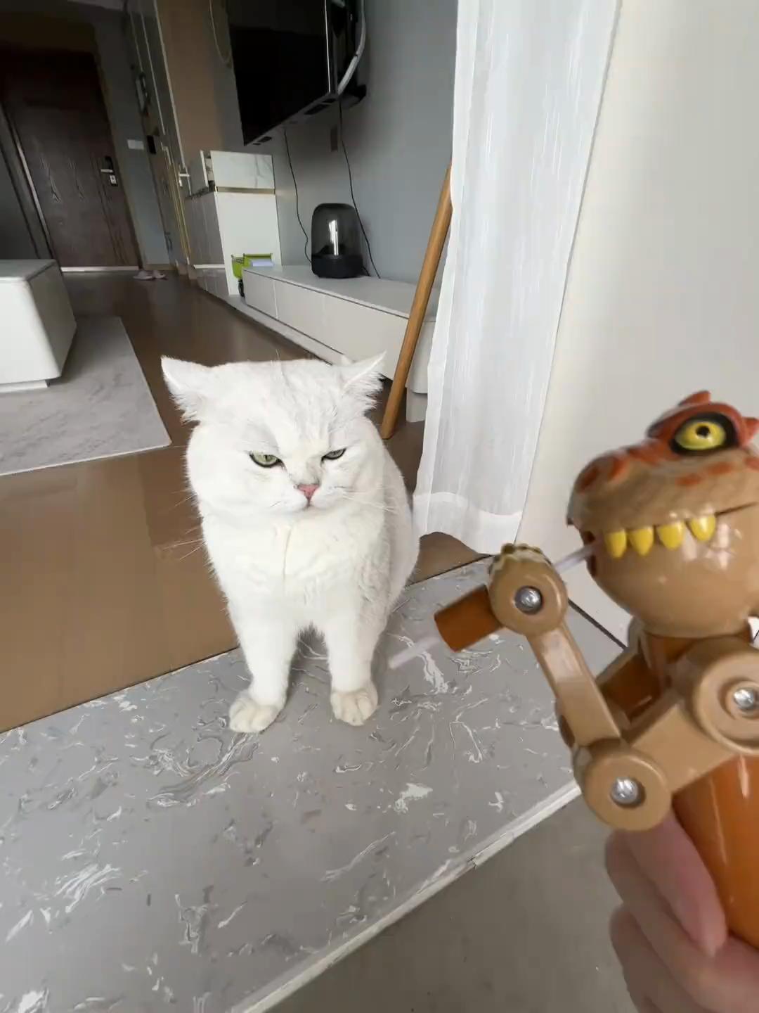 @FluffyTales