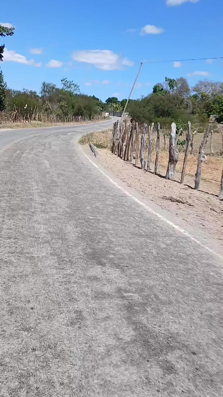 @Poliana Barbosa