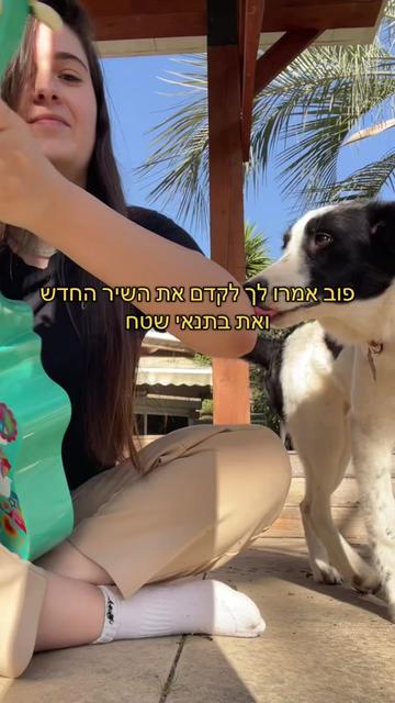 @Nitzan Alon