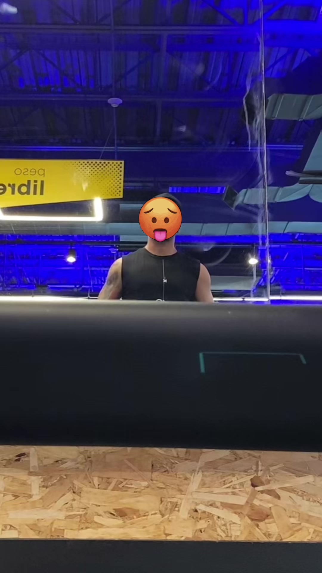 @MegaPokeVolt
