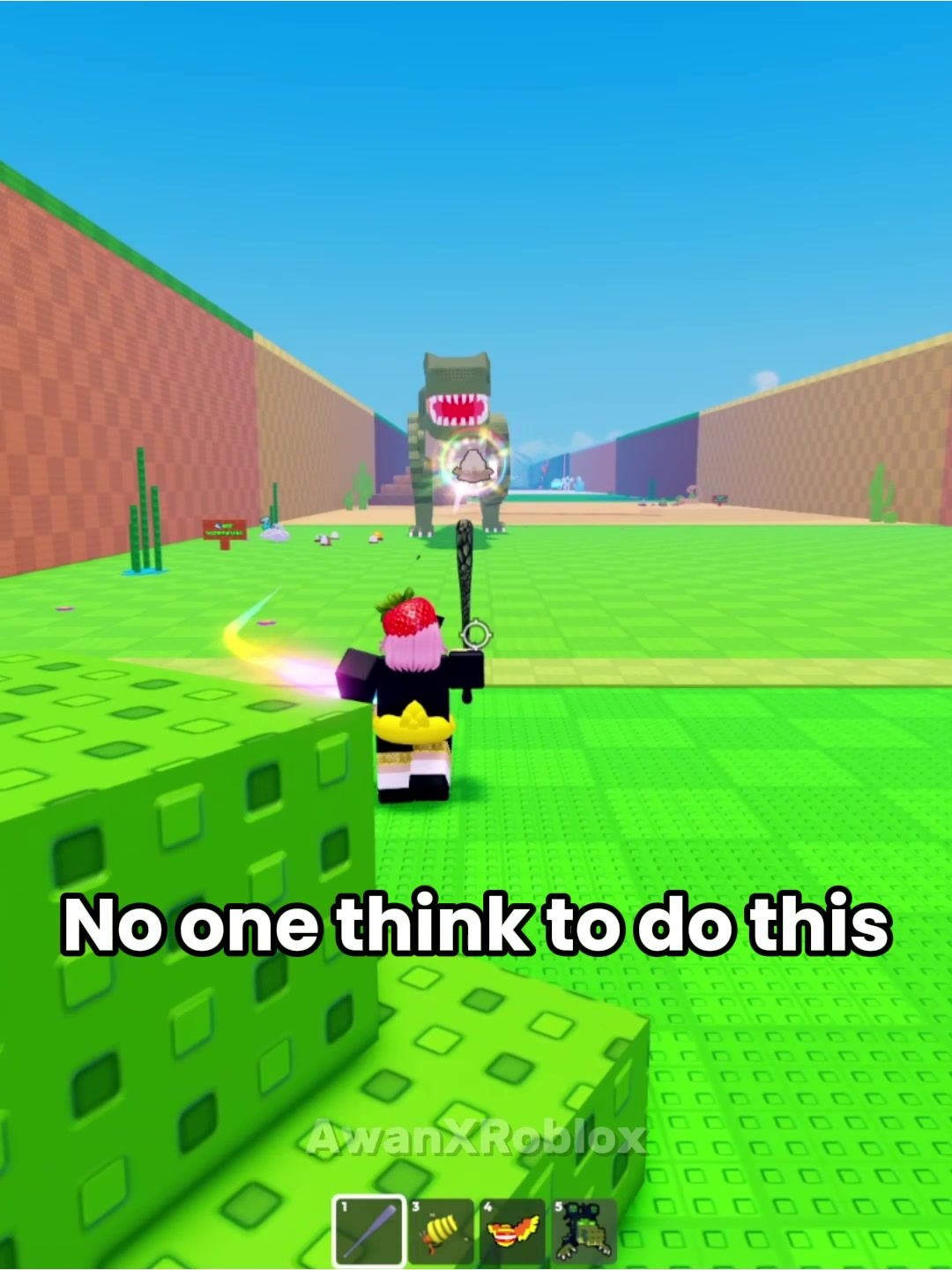 @AwanXRoblox