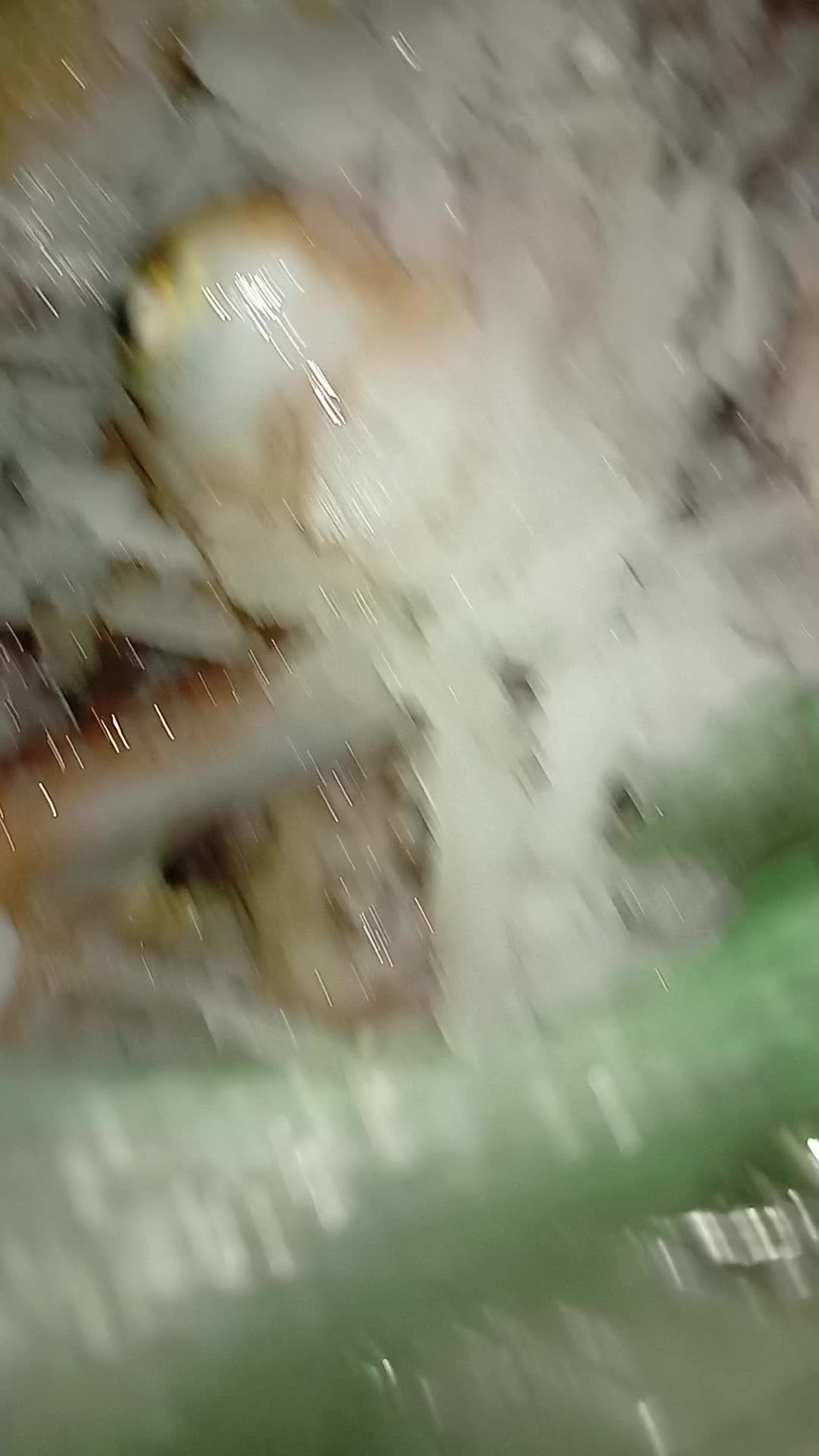 @أمي قبل كل شيئ