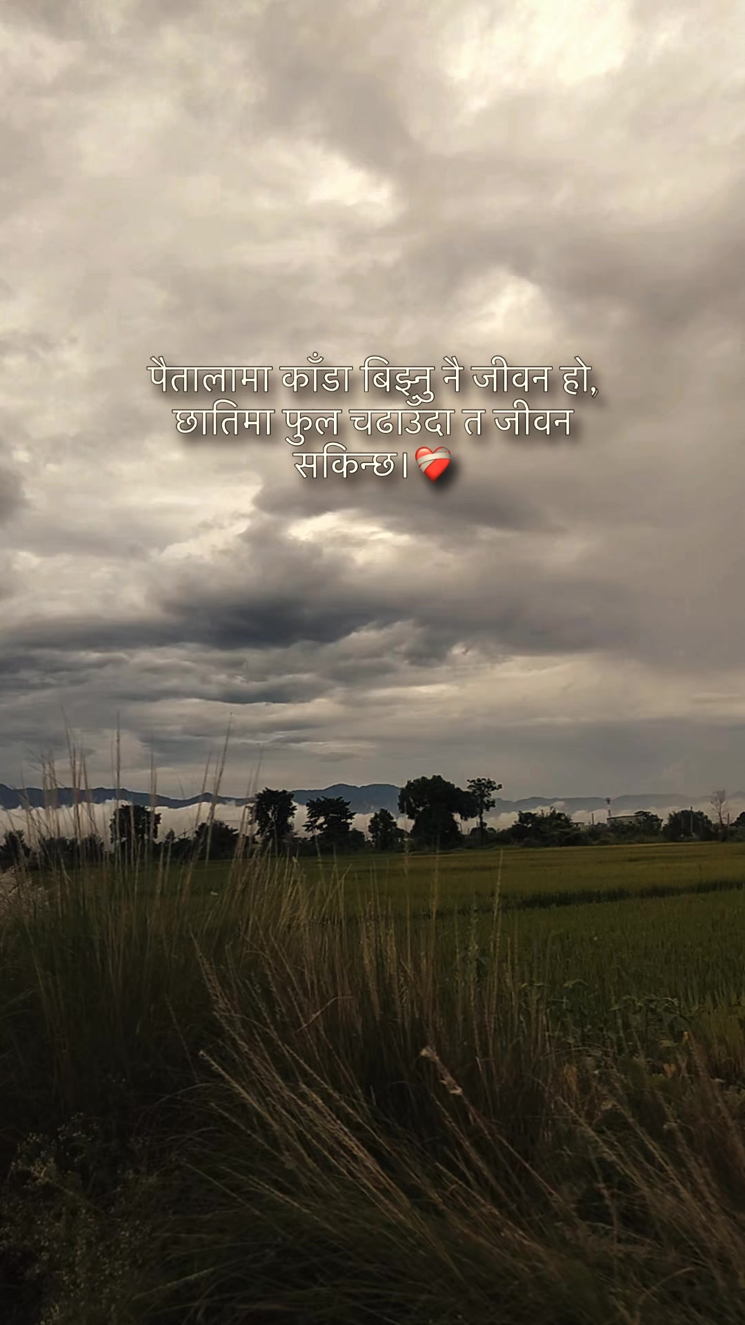 @Hina Basnet