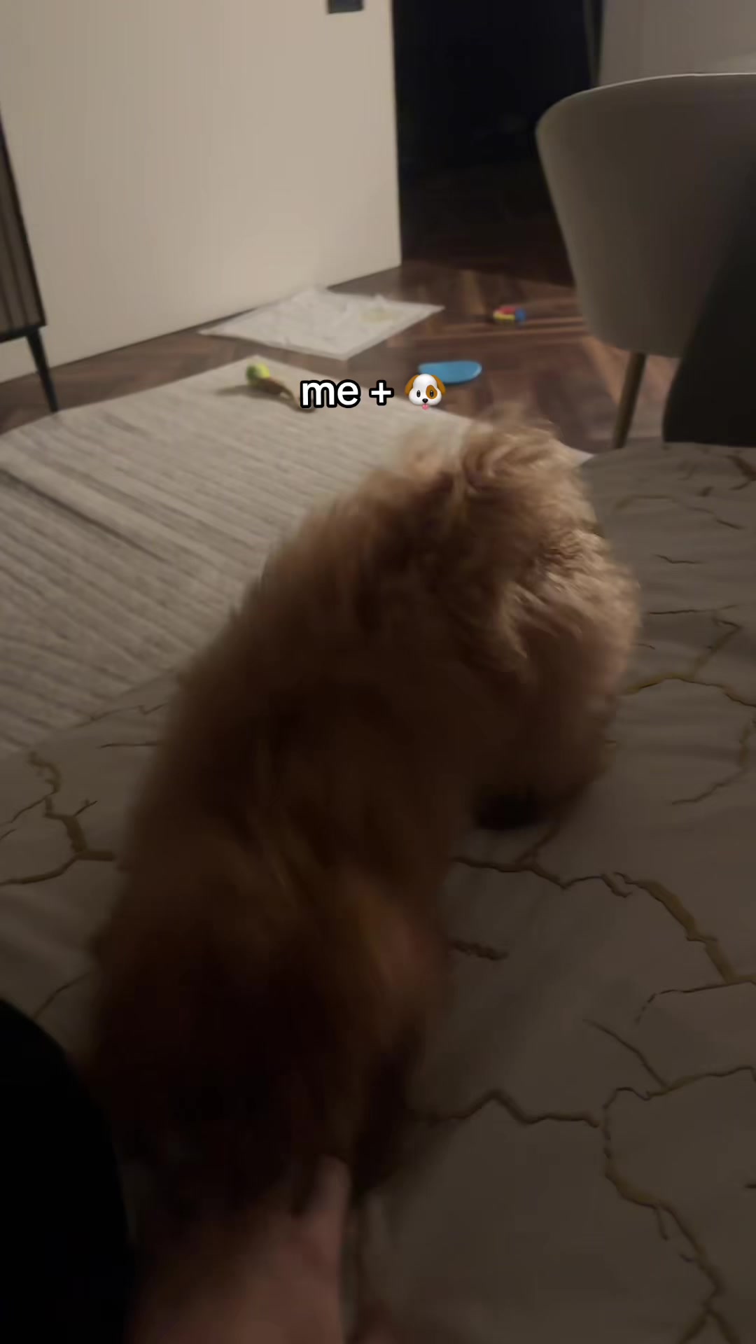 @мэлт