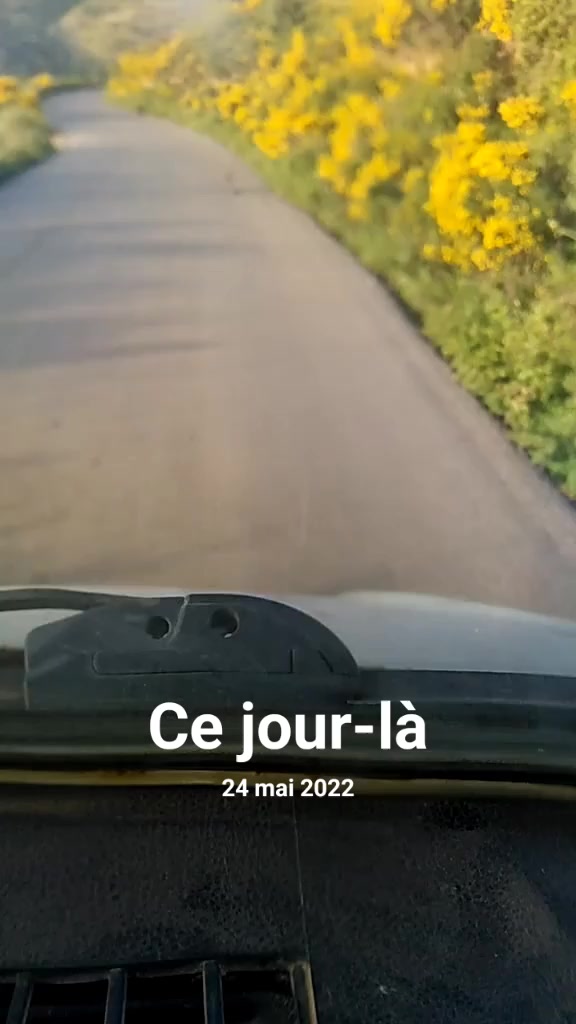 @BoBDjelili