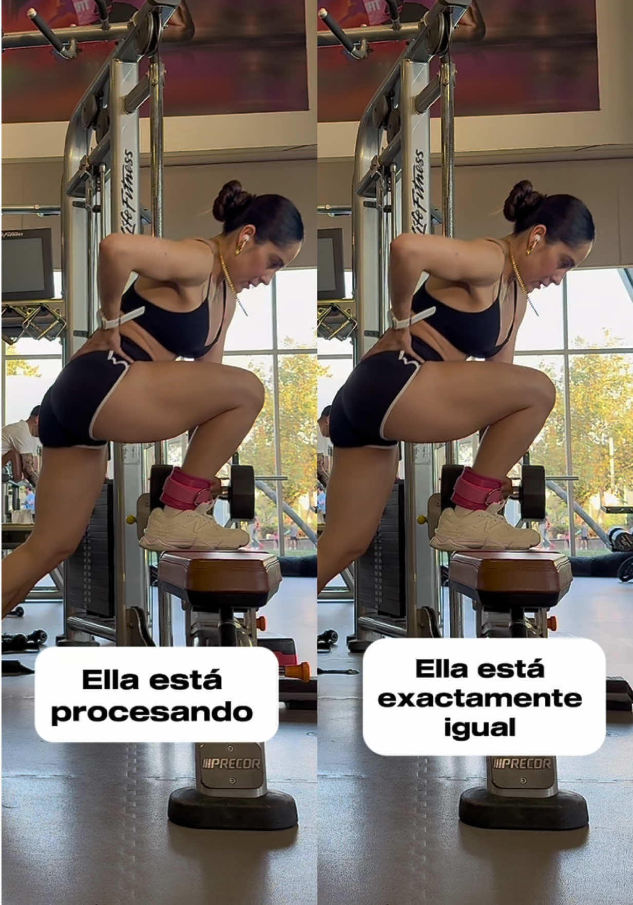 @Aleestefaniafitness