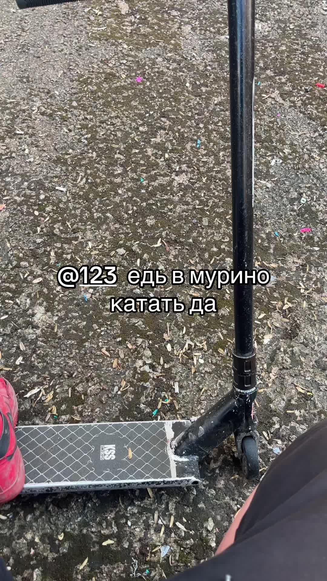 @сука блять нахуй