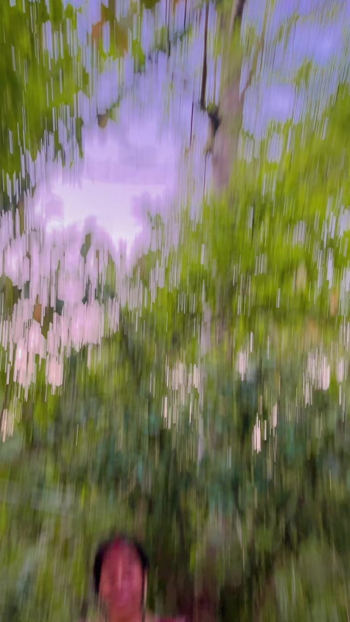 @Rita kasaudhan🌿🌿🌿