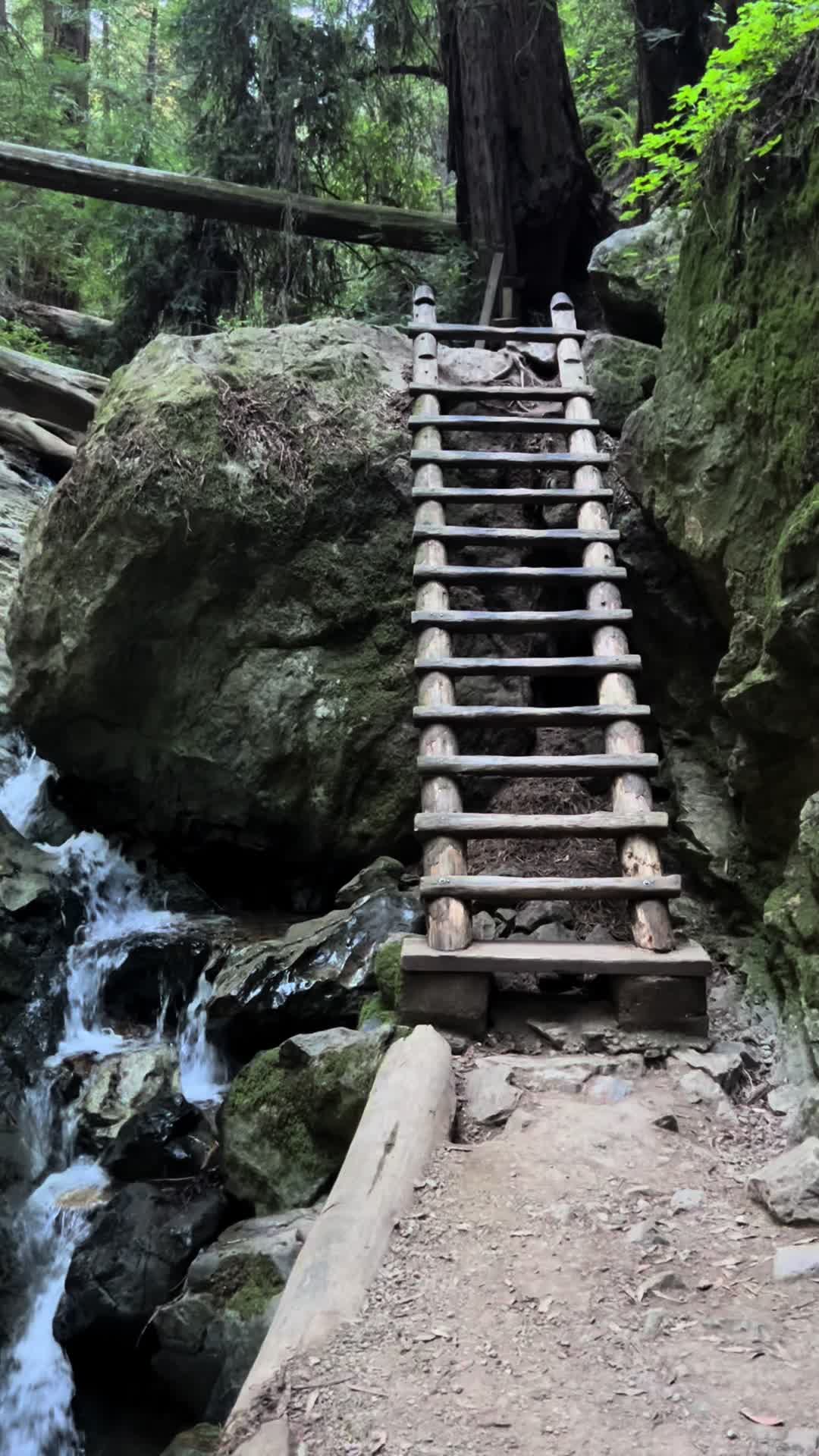@🥾Trailz\w/Terra🏔️