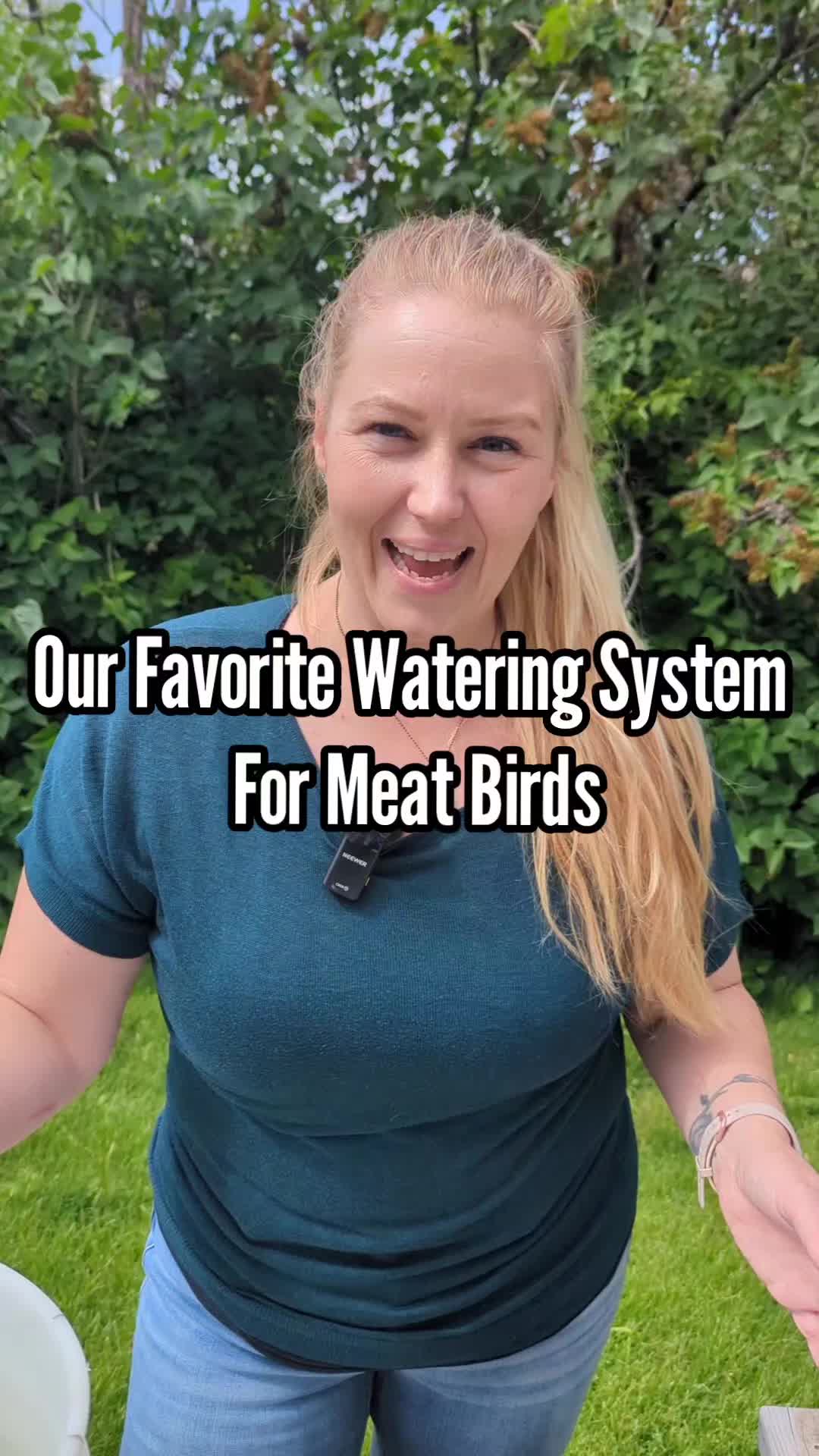 @MountainSpringHomestead