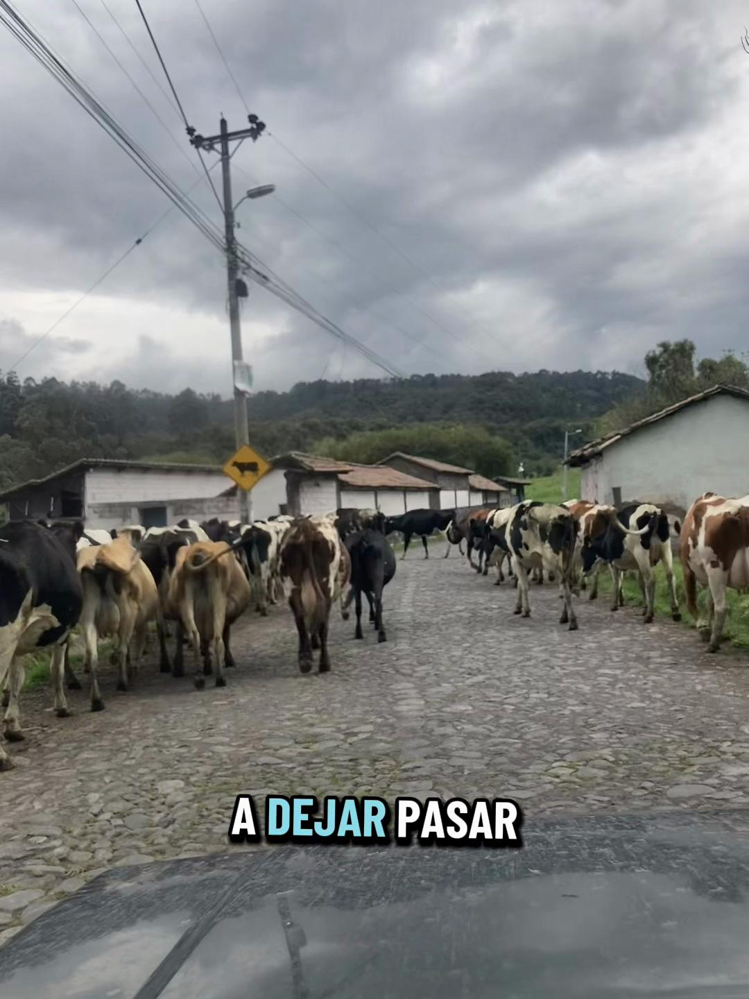 @Álvaro Meneses