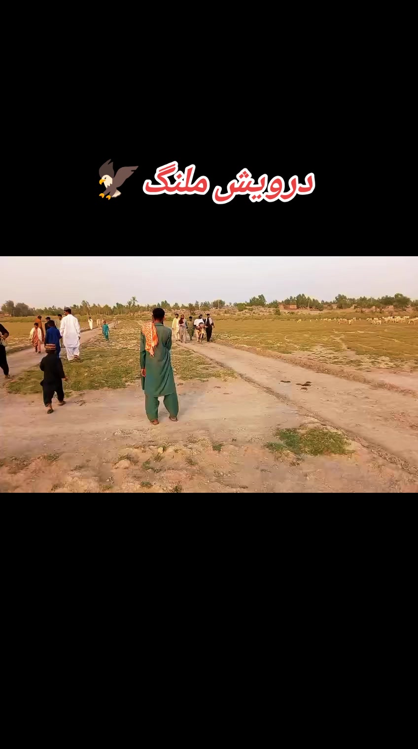 @چوہدری شاہد سلیم مڑل