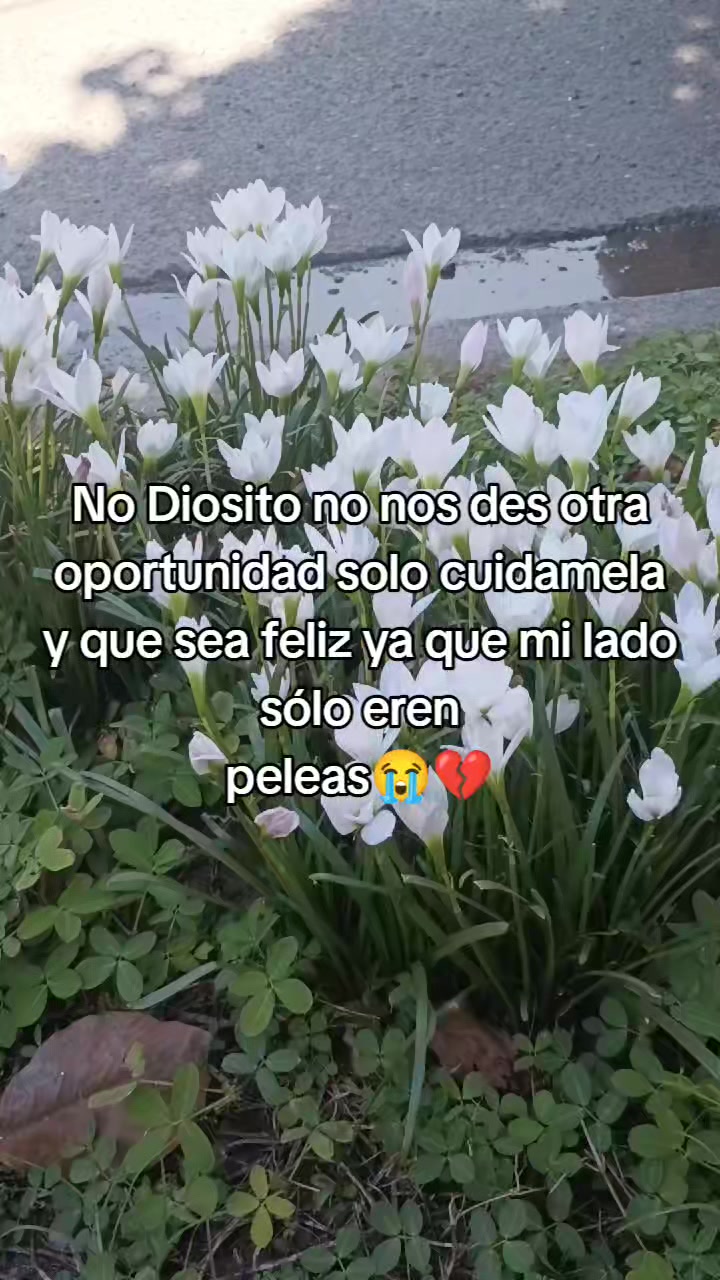 @🍒La tathy González🧸🐒🏳️🌈