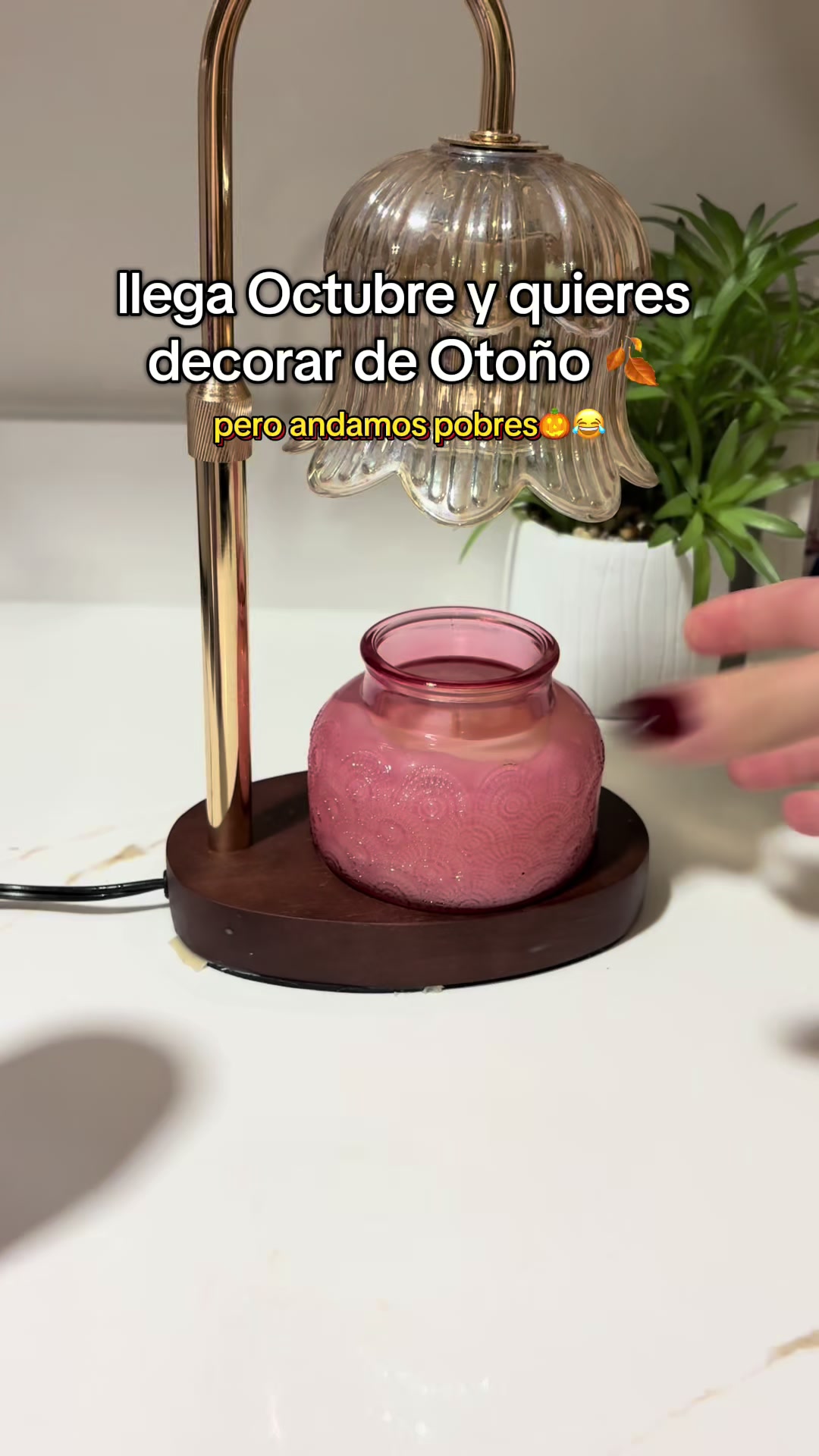 @ALE