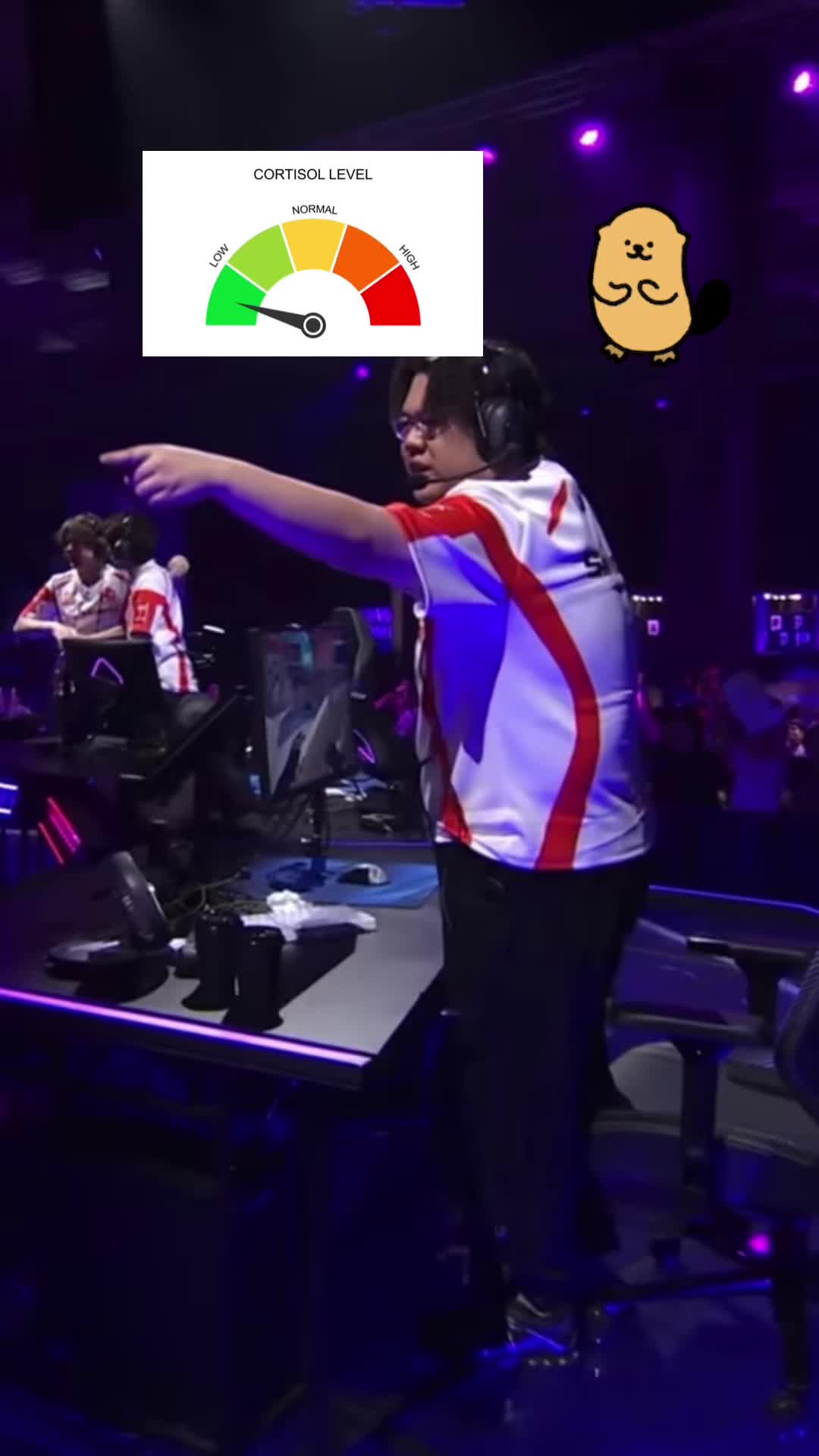 @67🐹