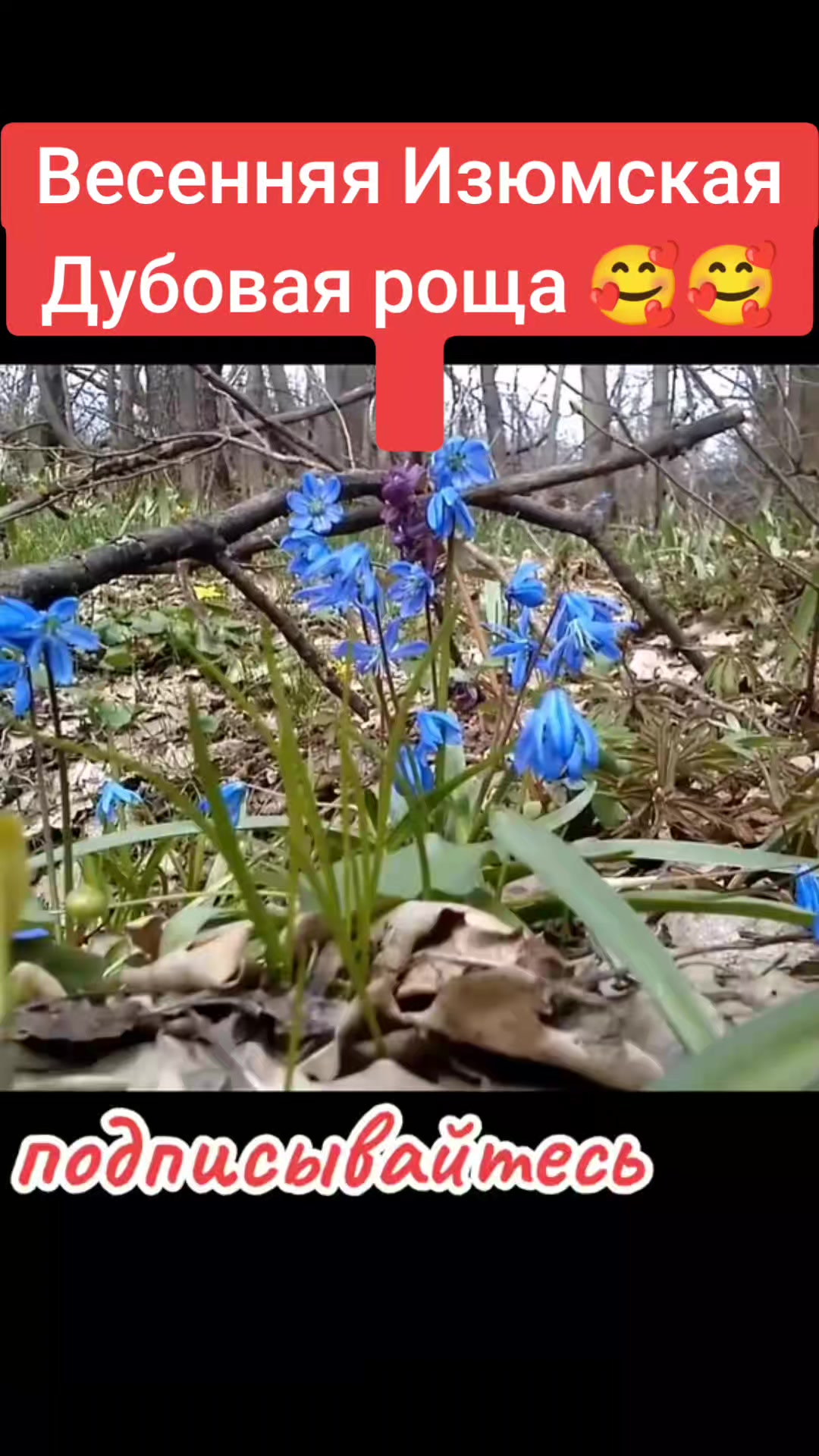 @Varibrus777