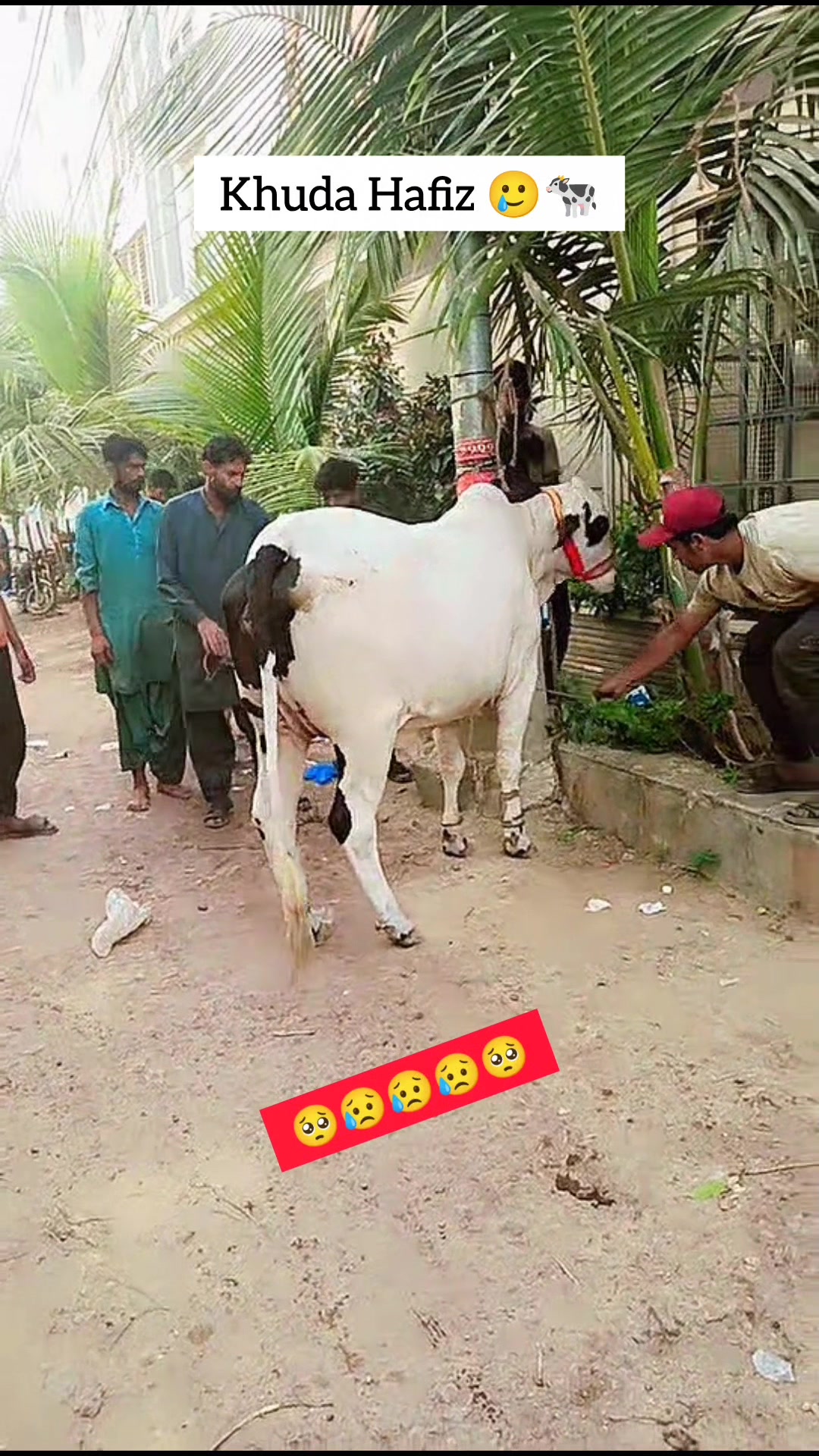 @UsamaUsmani