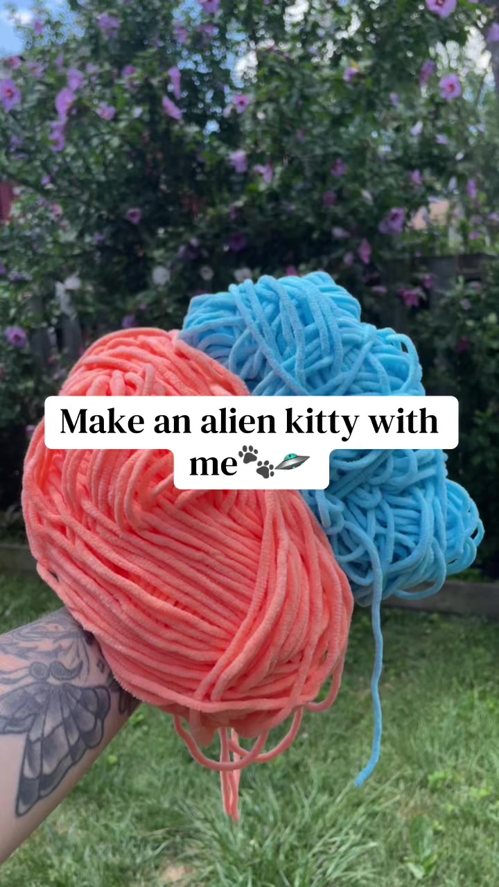 @Zero Gravity Crochet✨