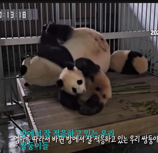 @K-PANDA kim