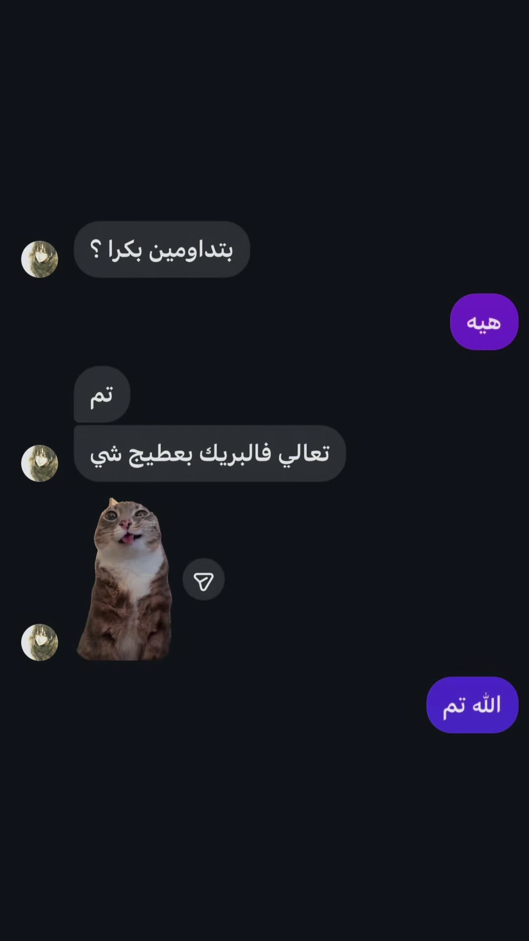 @ASHVEIL