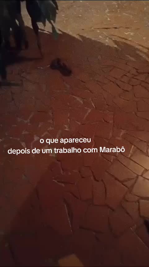 @Senhora da Noite 💃