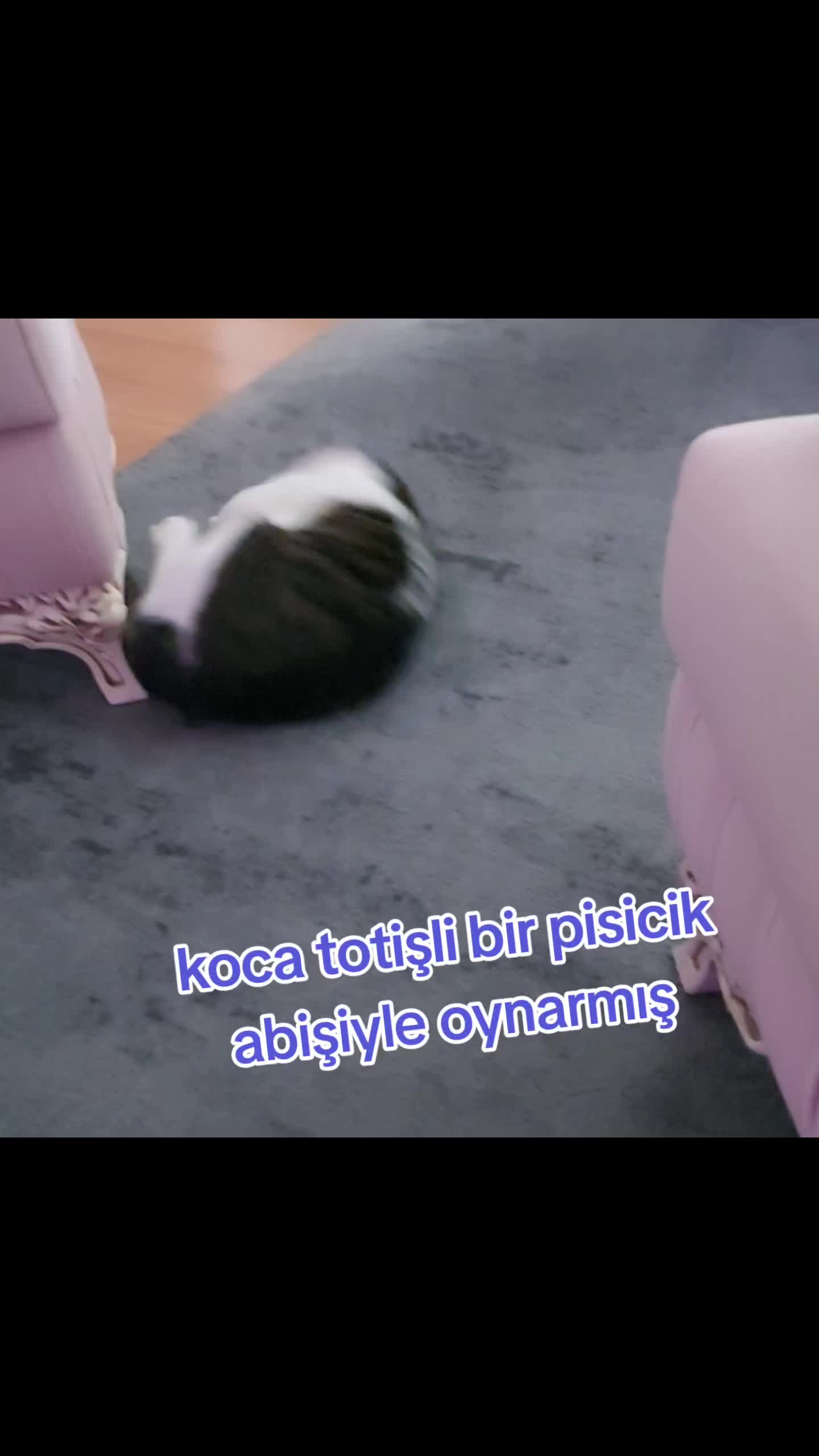 @GoncaBıçakUlaştısoy