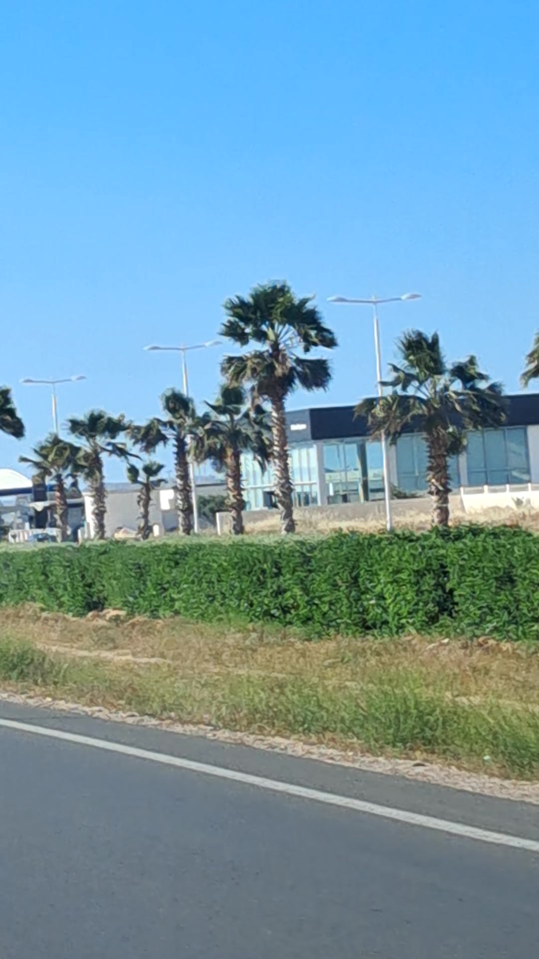 @moussamerzouki