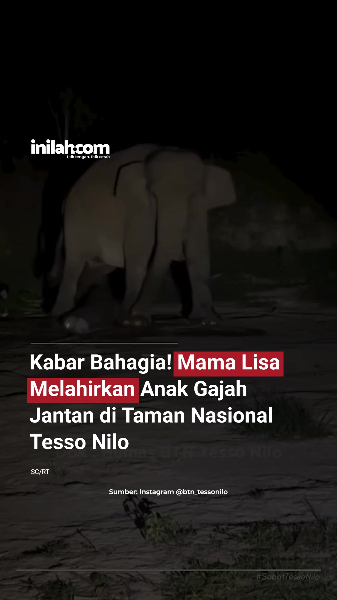 @Inilah.com