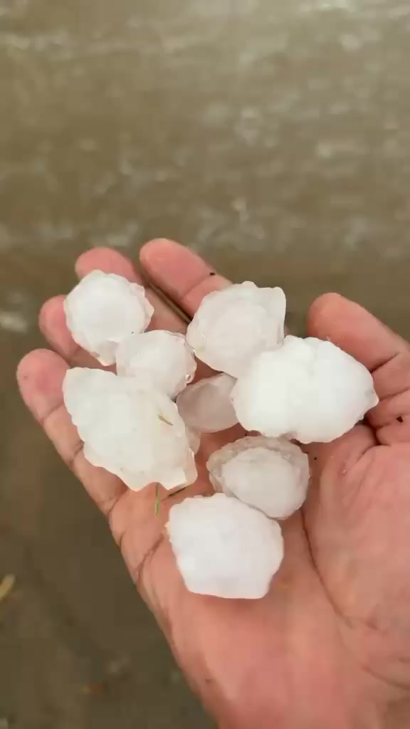@آبووسآم برق آلَساحل⚡️⛈️