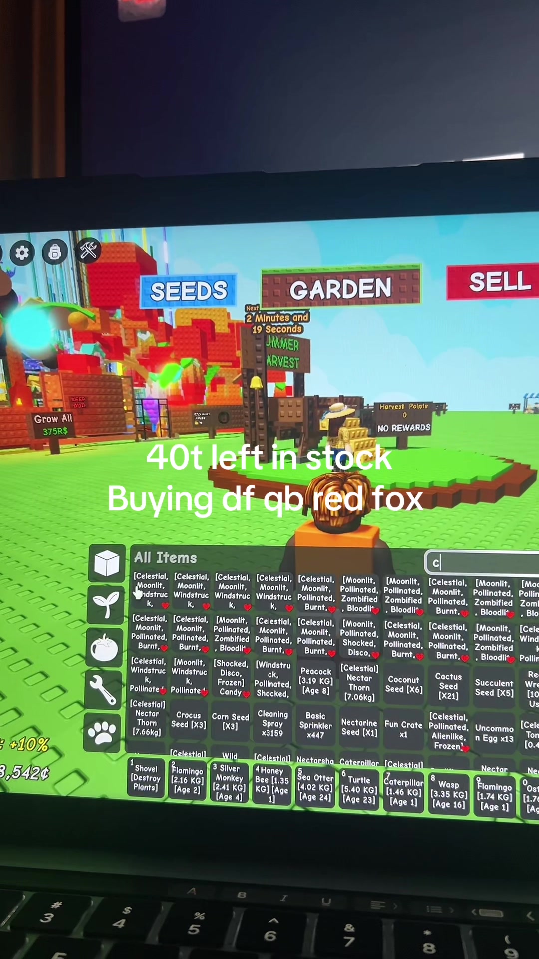 @Oogabooga