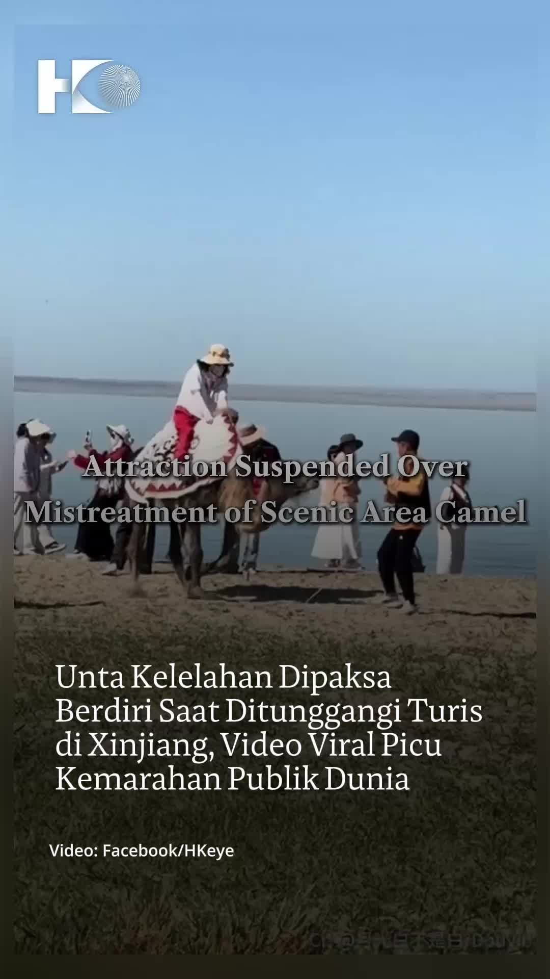 @mongabayindonesia