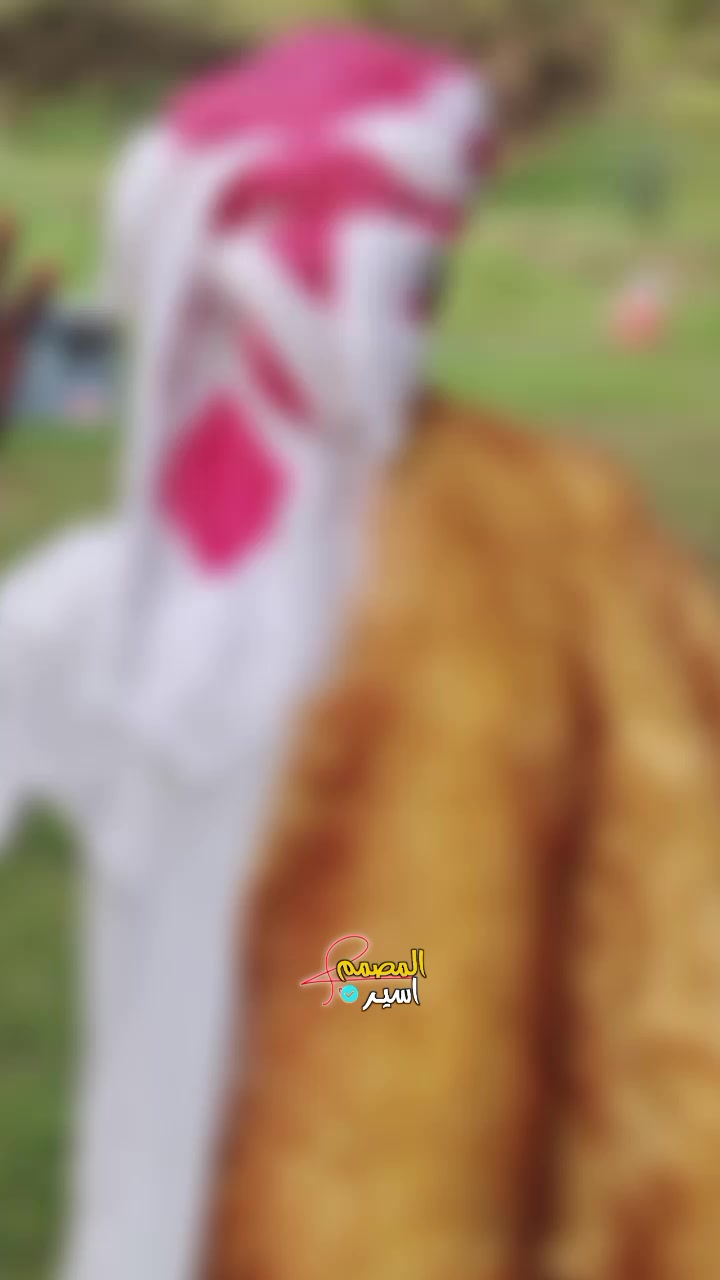 @بـشتـــــــنة (ملك الظرافة) 🤞