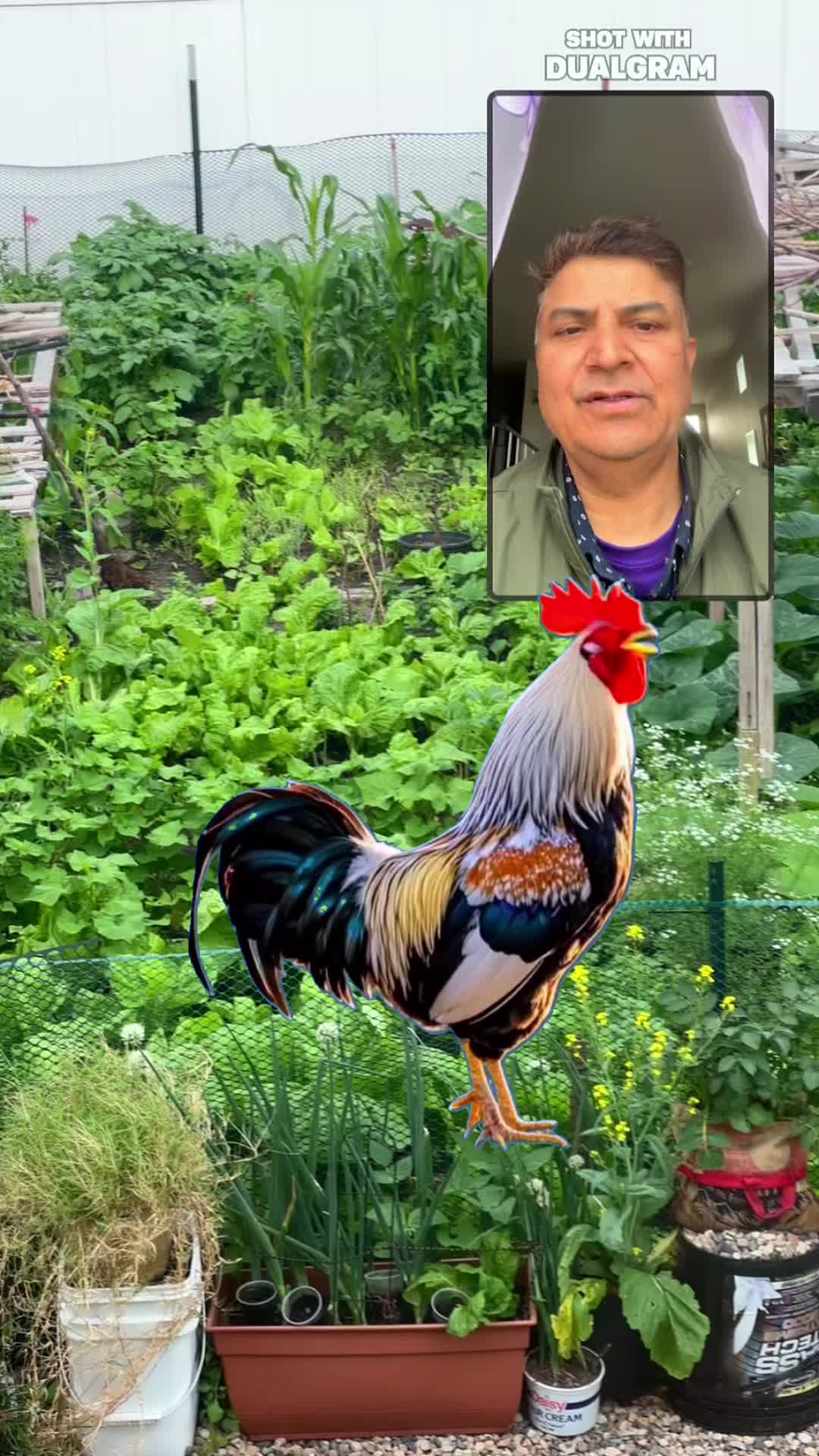 @Basnet BedRaj