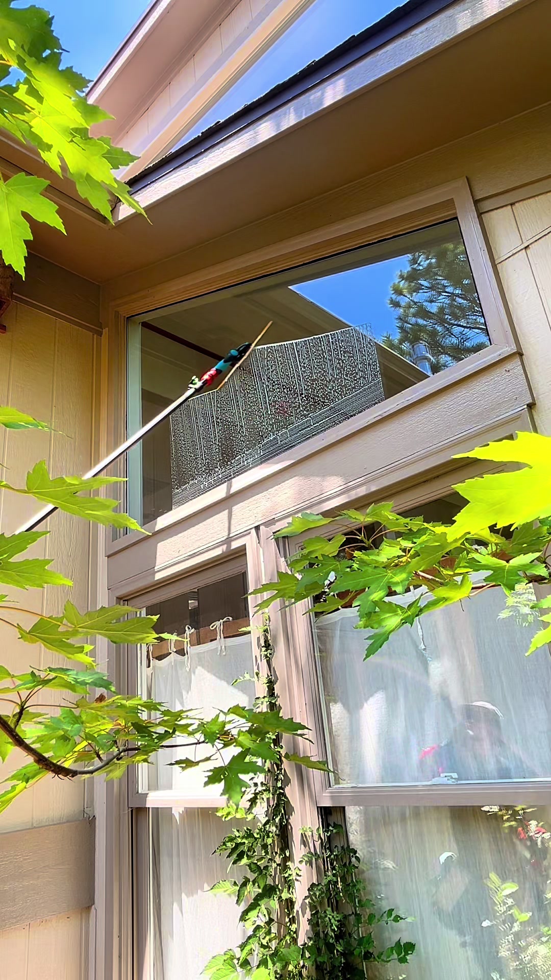 @Jeremy The Window Cleaner