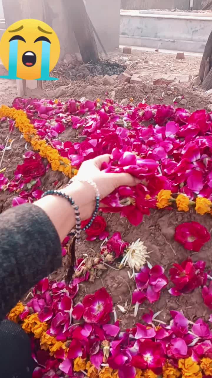 @Bye Bye 👋