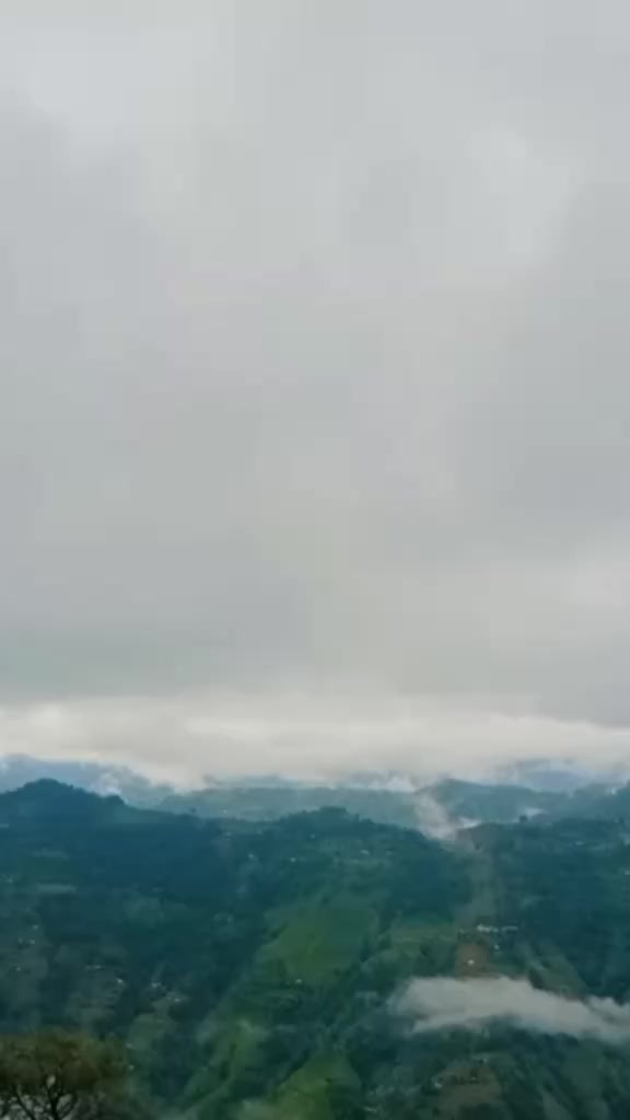 @𝐏𝐫𝐢𝐧𝐜𝐞 𝐋𝐚𝐮𝐫𝐞⚔️👮