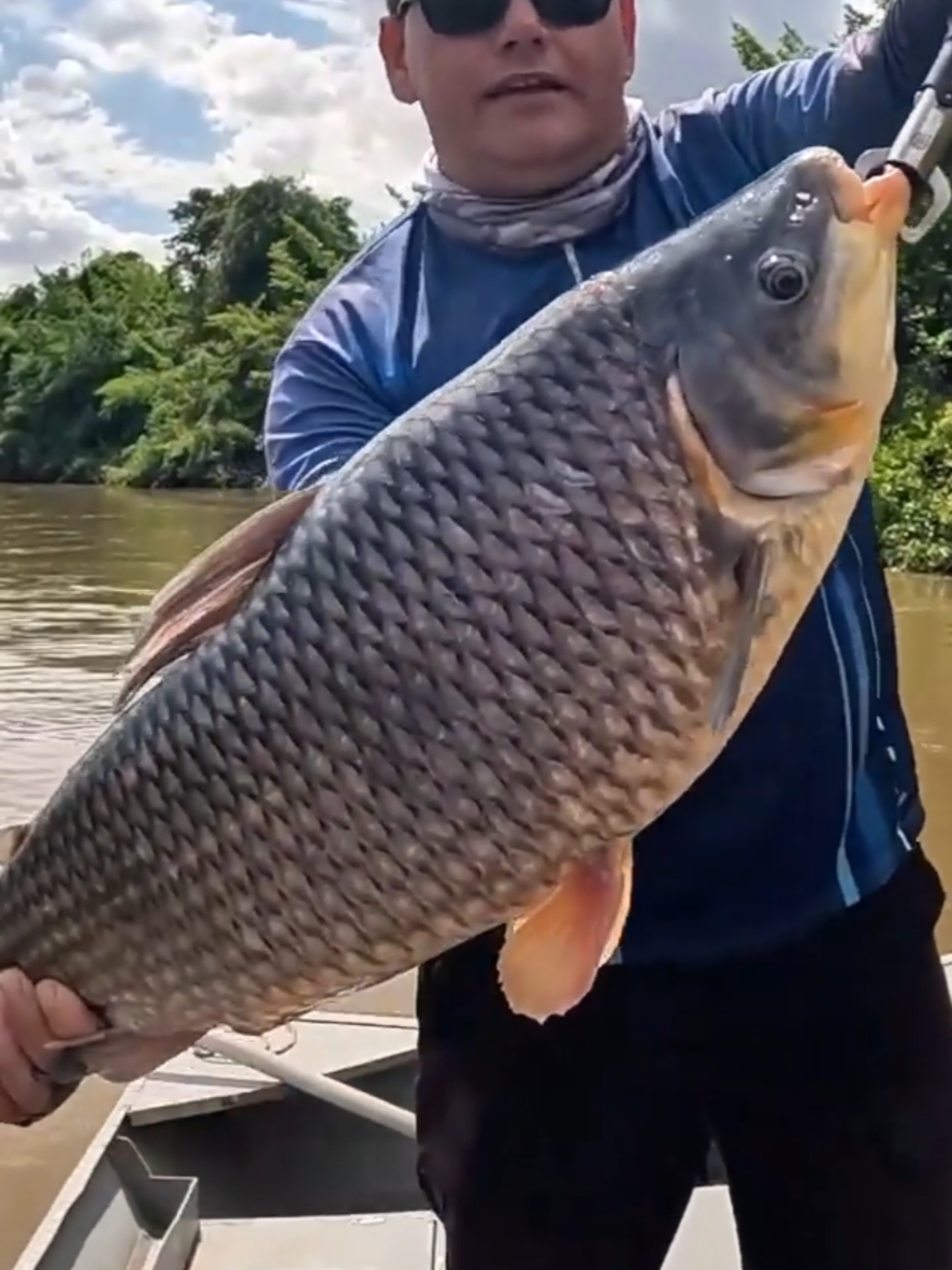 @De boa na Lagoa