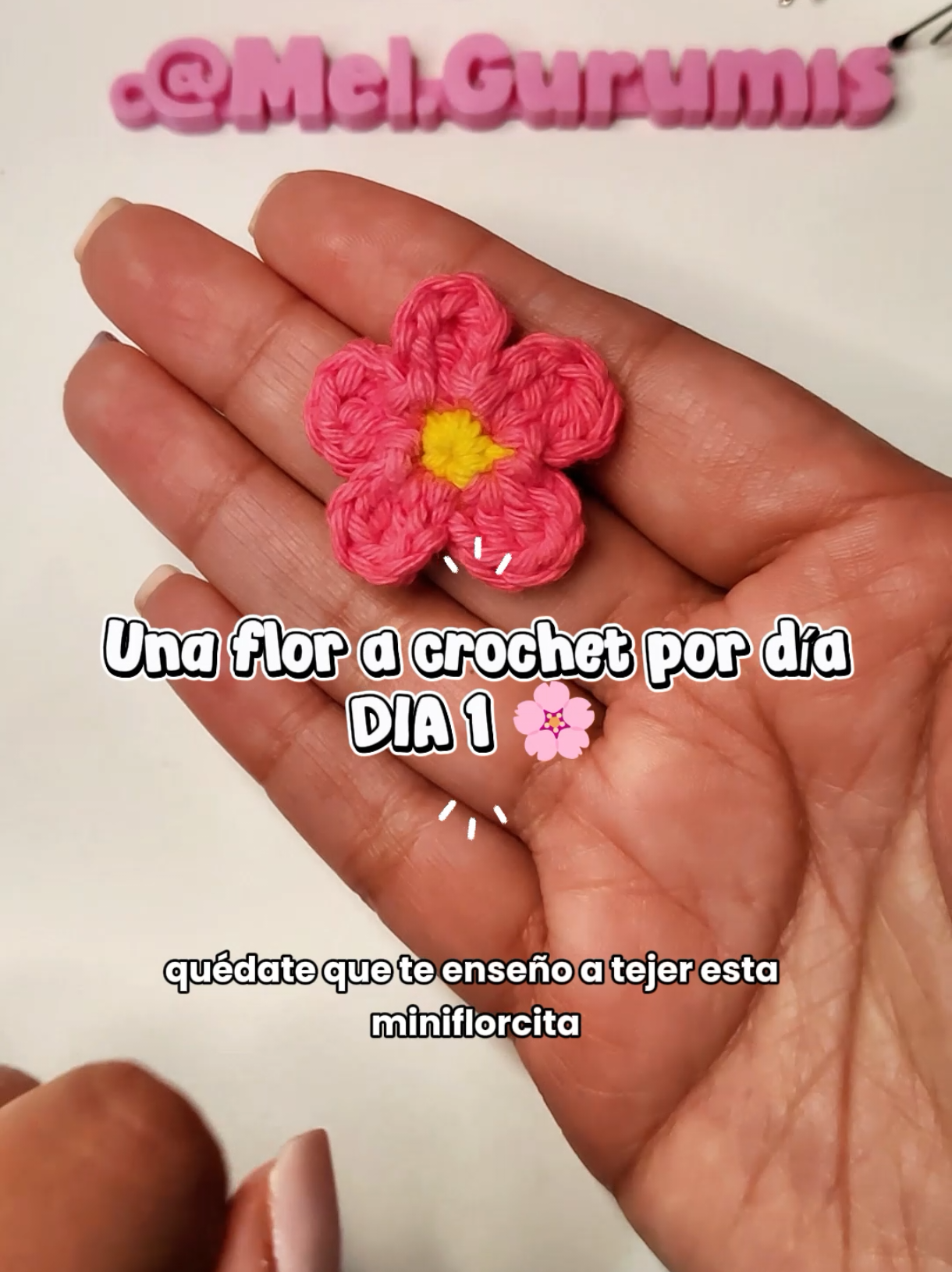 @mel.gurumis