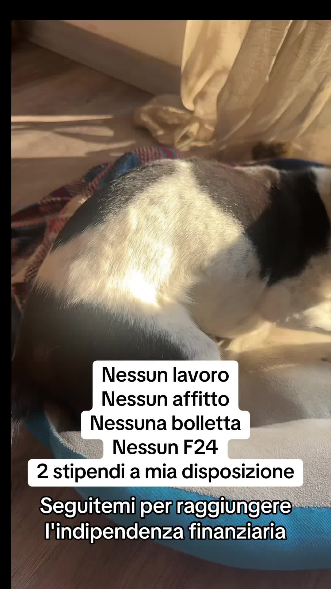 @💎Emanuela80🐾💎