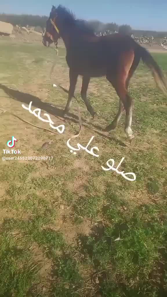 @youssefhajji