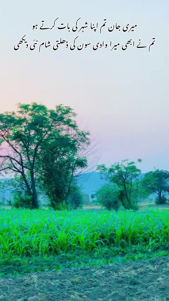 @محترمہ 🍁