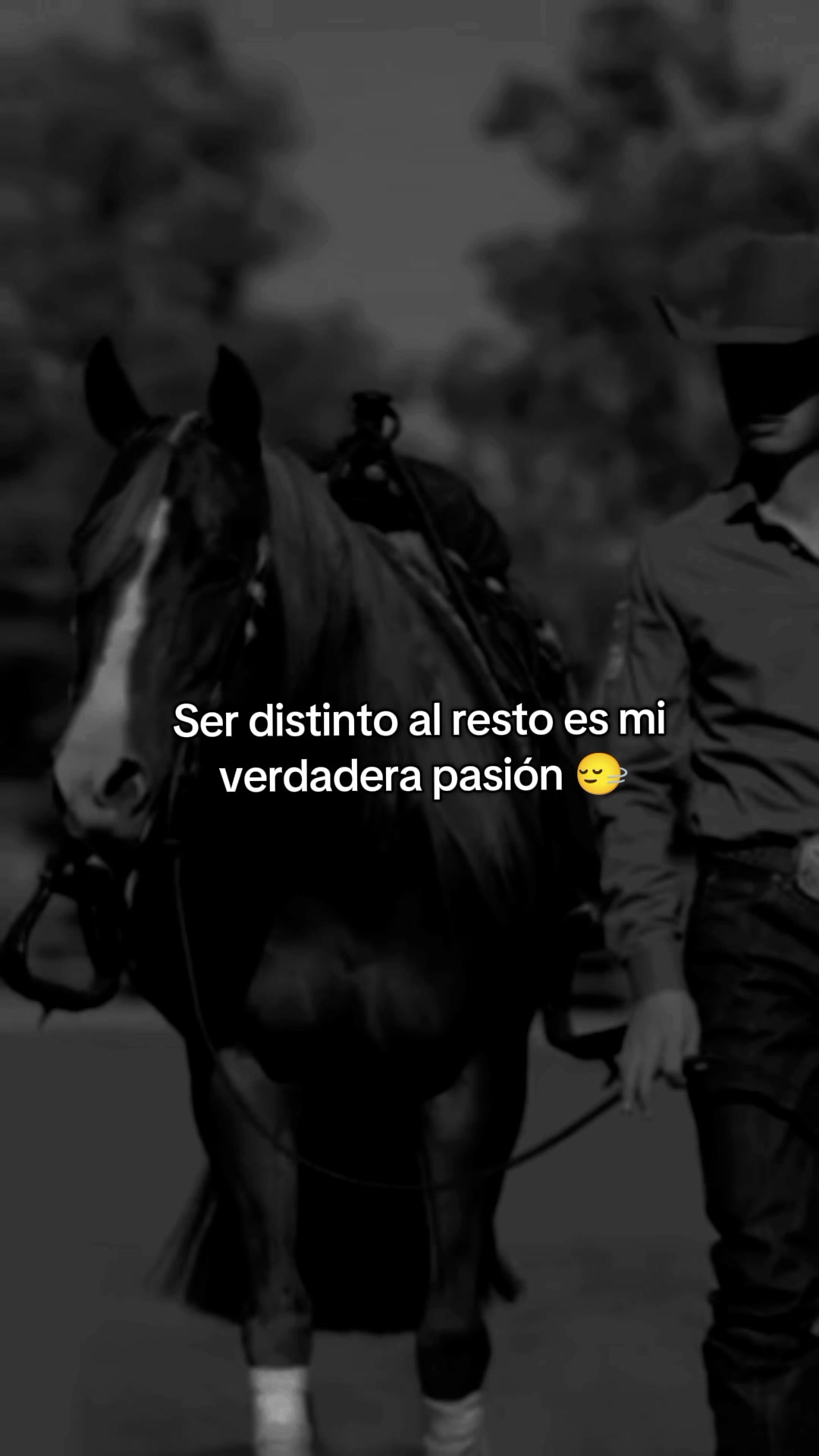 @Alexander Pacheco