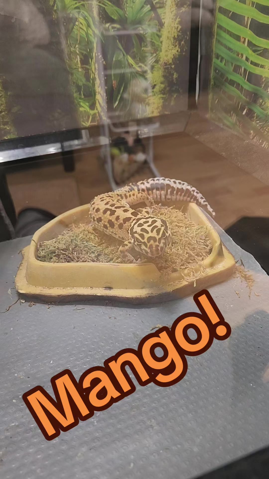 @Plants&Parks