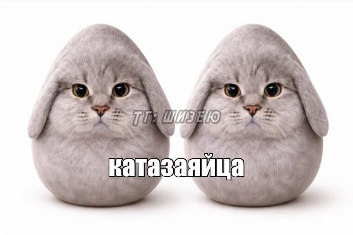 @қайрат👍🏿