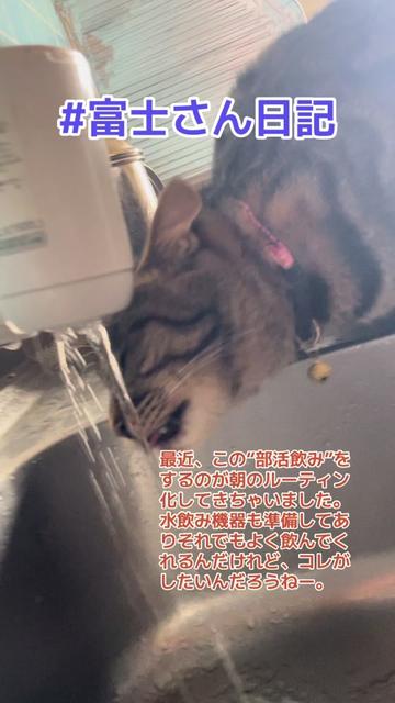 @ガッツ