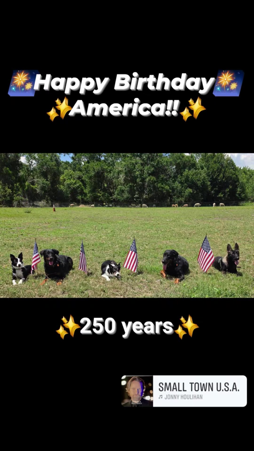 @shepherdslanternherding