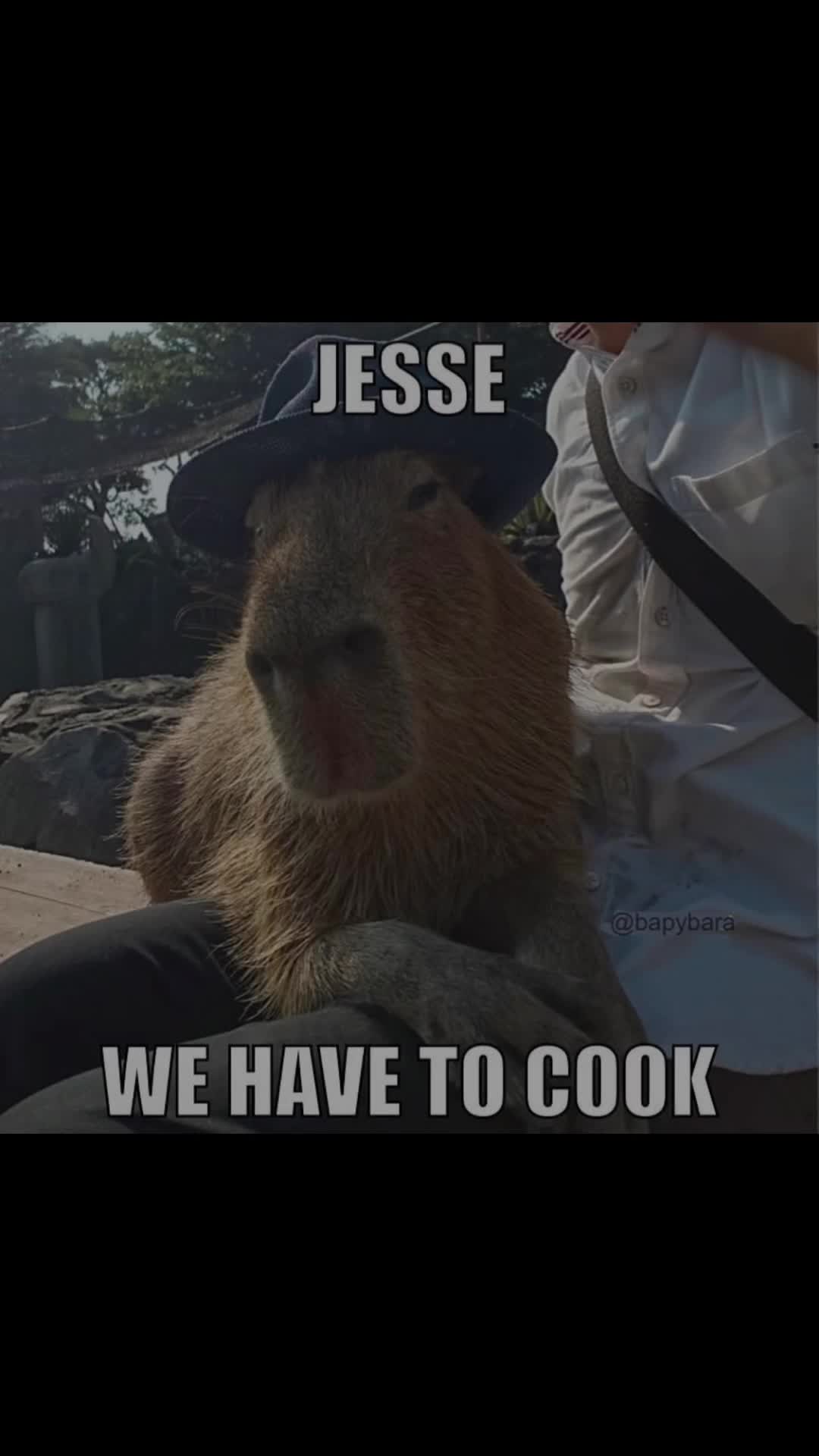 @chilllcapy