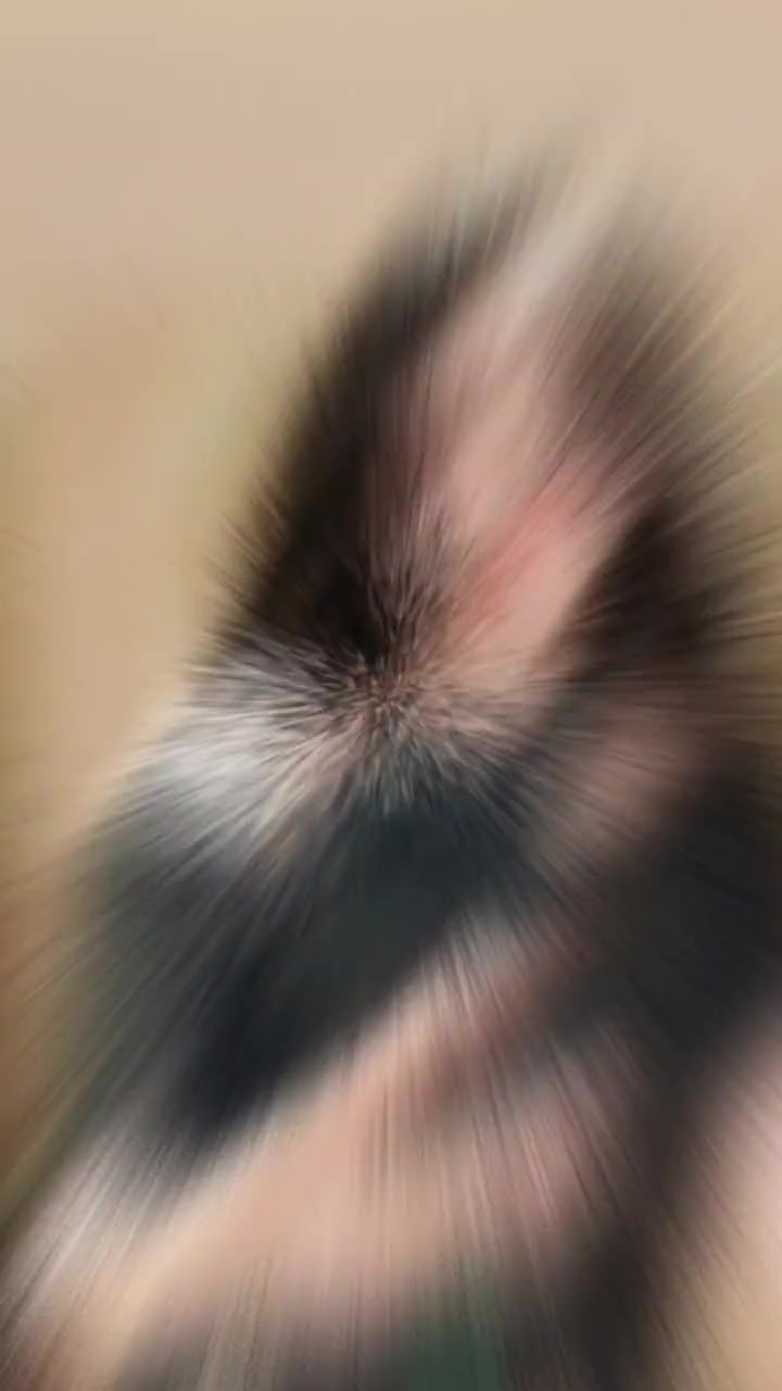 @Zhao Ru