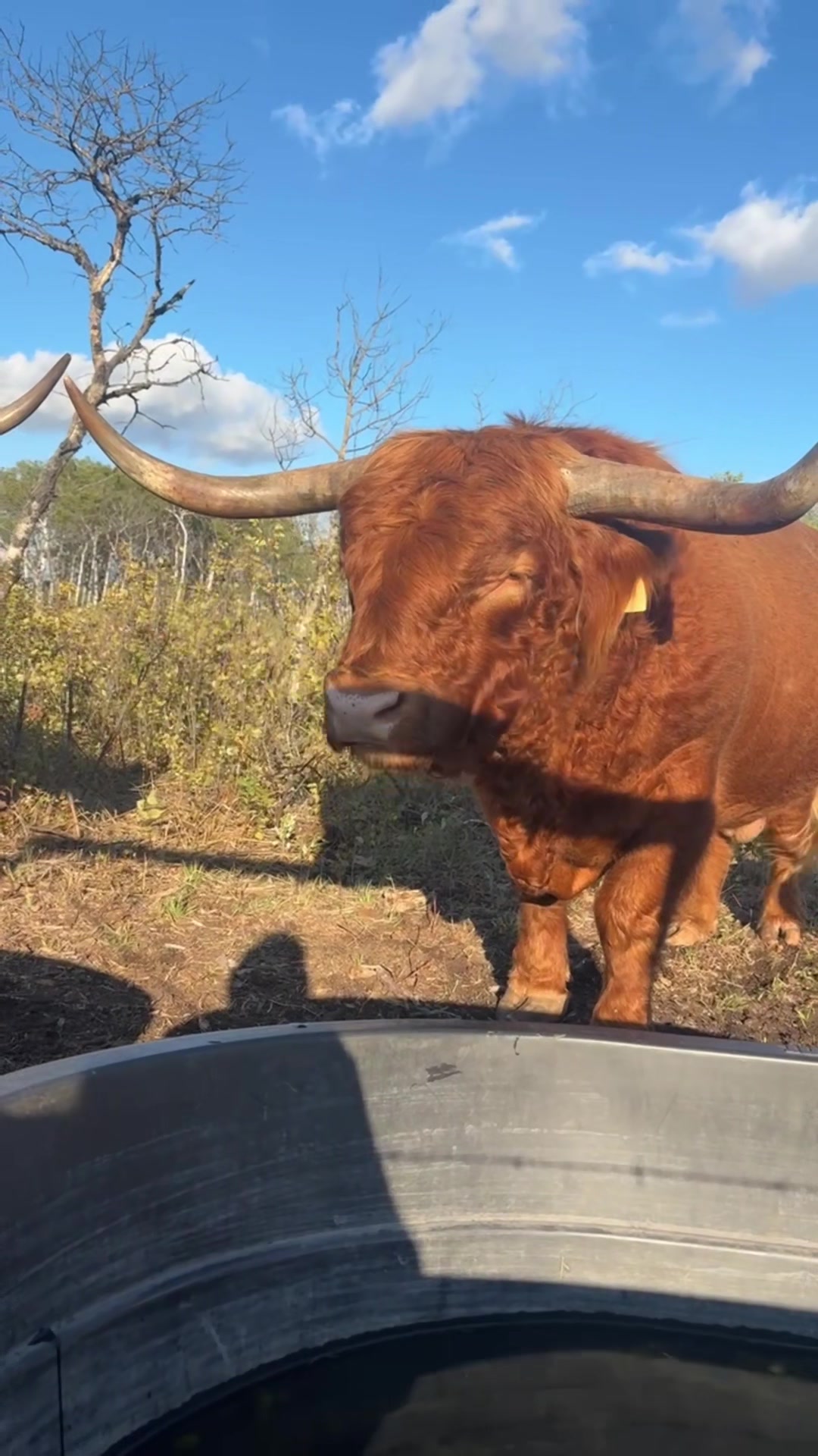 @mybonnyfarms
